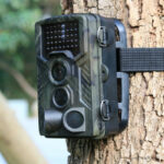 HC-800 Wildlife, caméra de surveillance extérieure