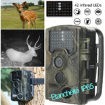 Caméra de chasse haute résolution 16MP