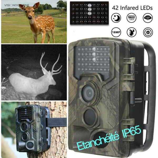 Caméra de chasse haute résolution 16MP