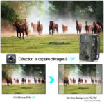 Caméra de surveillance pour la faune 16MP