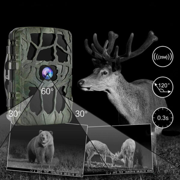 Caméra de surveillance infrarouge pour la faune