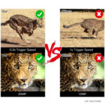 Appareil photo de chasse haute résolution 20MP