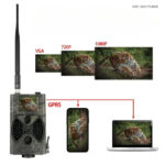 Dispositif de capture d'images pour la faune