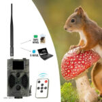 Solution de surveillance animale par caméra connectée