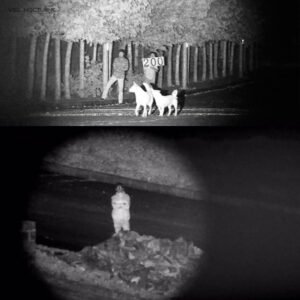 Vision nocturne KJ800, jumelles avec fonction photo et vidéo