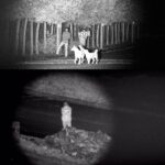 Jumelles infrarouges pour aventures nocturnes