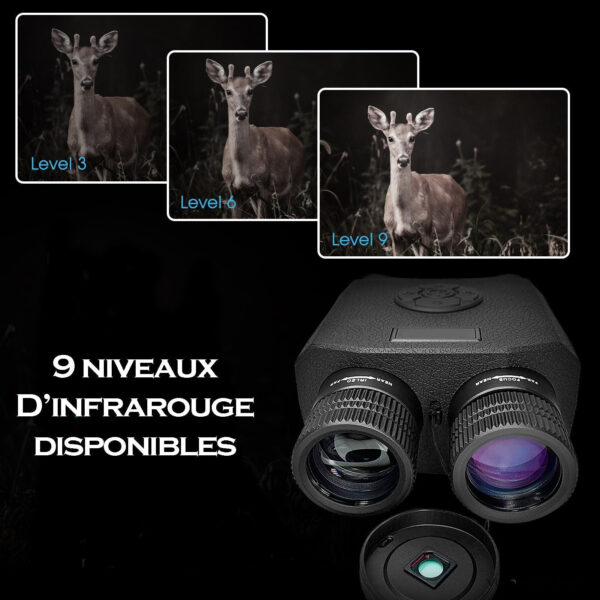 Jumelles B6181 conçues pour les aventures nocturnes