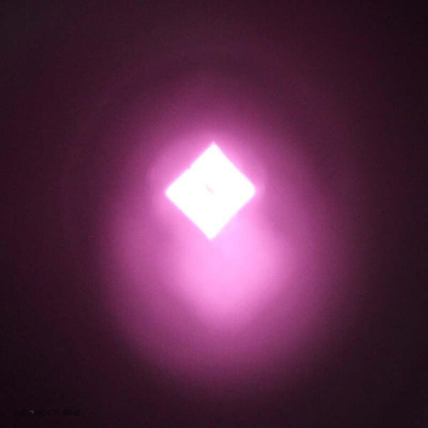 Vision nocturne T50, lampe 10W compacte et performante