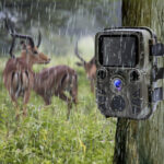 Caméra de chasse infrarouge compacte et waterproof