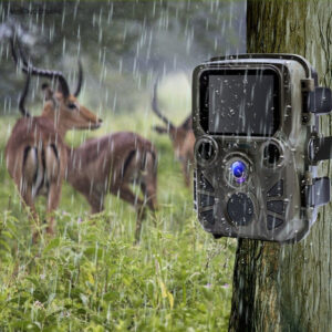 Caméra de chasse infrarouge compacte et waterproof