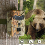 Appareil photo infrarouge 12MP pour la faune